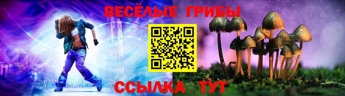 где можно купить наркотик  Вход с VPN  Псилоцибиновые грибы Psilocybine cubensis  Мелеуз  Псилоцибиновые грибы ЛСД 